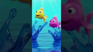 Counting Fish, Fun and Wish 2 #kids #cocomelon #toddlersongs #shortsfeed
