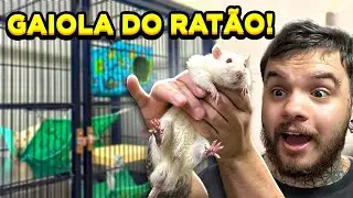 MONTANDO A GAIOLA DO MEU RAT&Atilde;O SACUDO