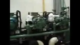 Bitzer OSN screw