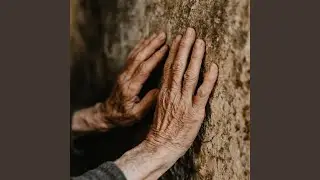 My hands remember all of that (Preview)