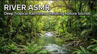 🌊 Peaceful River Sounds 🌙 Deep Sleep Instantly | Insomnia & Relaxation ASMR