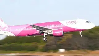 Airbus A320-214 Peach #aviation #airplane #airport 