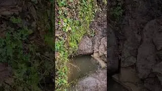 Opening up a long disused 