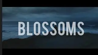 Meltt - Blossoms (Legendado)