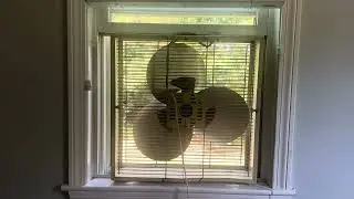 Rare McGraw Edison Variant! | Box Fan Rotation Week 3: Translucent Thin N Light