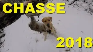 Chasse 2018 - Perdrix et Li&egrave;vres avec Toshi la Labrador (FRENCH)