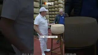 Apertura della forma: 12 mesi di attesa e il verdetto finale.