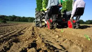 Transplanter mod. TC 200