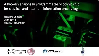 A two-dimensionally programmable photonic chip for classical and quantum information processing
