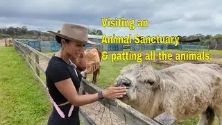 Visting 
