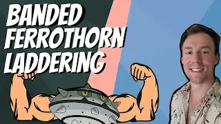 COMING BACK WITH A BANDED BANG | Pokemon Showdown Live!