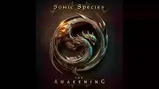 Liquid Soul - Consciousness (Sonic Species Remix)
