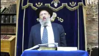 13 Shemos - Rabbi Eliezer Breitowitz (Shemot 1:1-6:1 EXODUS - 2012 12 30)