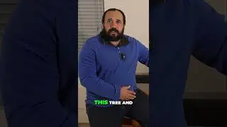 Bonsai Tree Transformation  Year Round Growth Strategy