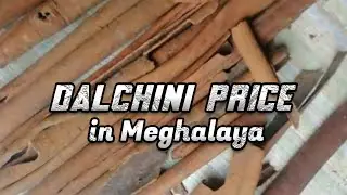 dalchini price in assam | dalchini price in meghalaya