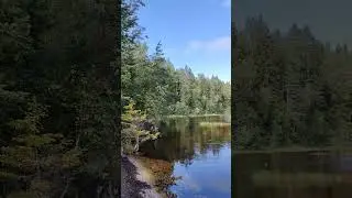 Озеро Янисъярви #карелия #природа #путешествие #озеро #красота #travel #nature #lake #beauty #shorts