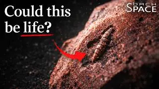 The Strongest Evidence for Ancient Life on Mars Why Scientists Still Aren&rsquo;t Celebrating