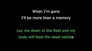 Dead Nettles - The Low Blow (karaoke)
