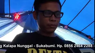 delta musik harapan hampa  wina
