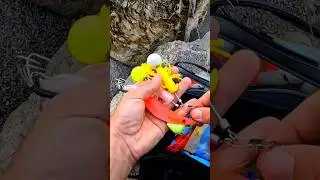 Come utilizzare i Tako Egi Essential INPESCA&reg; #takogame #polpo #takoeging