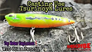 SAMBARAN PADU SEBARAU | Cara Guna GEWANG PENCIL | Casting Hampala Use Tsurinoya PENCIL Top Water