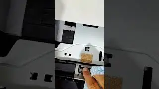 Kyocera M2040 Procedimento para limpar roletes de tra&ccedil;&atilde;o