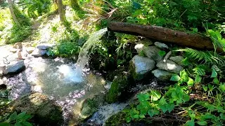 1080p The World's Most Beautiful Waterfalls | Ultra Full HD Natural video | Naturalix Tv