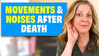 Why Do Bodies Make Sounds or Move After Death?