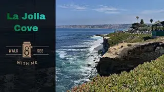 [4k]La Jolla Cove tour walk
