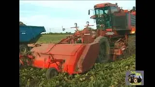 MATROT M41H SUGAR BEET HARVESTER