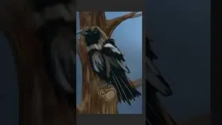 Common Raven #ravens #art #bird #drawing #speedpaint #digitalart #painting #animals #artist #flying