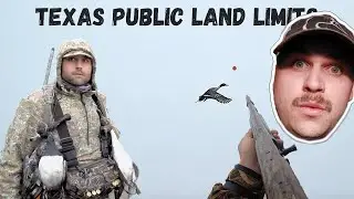 Pintails DUMPING IN! (Texas Duck Hunting) | Flyways Collective React Vid
