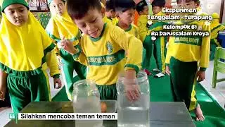 Eksperimen Tenggelam dan Terapung 