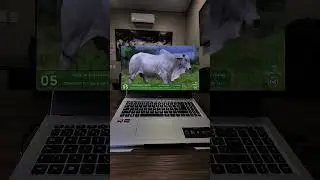 🚨 &Eacute; neste s&aacute;bado! Leil&atilde;o Nelore Missassi!