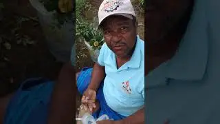 Tudo sobre  rosas como fazer enxertia em roseiras