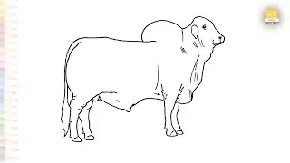 Bull easy drawings | Animal drawing tutorials | How to draw A Bull step by step easily #artjanag
