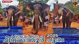 പ്രസിദ്ധമായ ചിനക്കത്തൂർ പൂരം | 5 ആനകളെ അണിനിരത്തി ഒറ്റപ്പാലം ദേശം | chinakkathoor pooram 2025