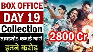 Pathaan Box Office Collection Day 19 Pathaan 19th Day Collection Pathaan Box Office Collection
