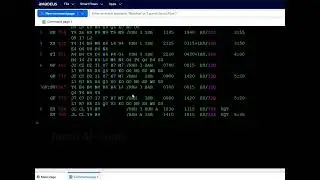 How to Check Flight Availability Using AN Command | Amadeus Basics
