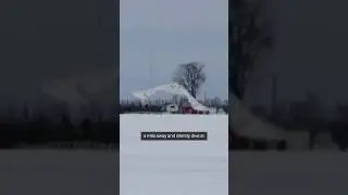 Snowy Owl: Arctic Hunter