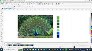 How to Pick a Colour from an Image in CorelDRAW