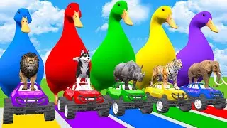Long Slide Game With Elephant Gorilla Buffalo Hippopotamus Tiger 3d Animal Game Funny 3d Animals