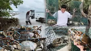 Grabe ang bagong spot nato naglalakihang alimango ang nakatira