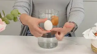 Stop wasting food. 3 Quick tricks to test freshness fast