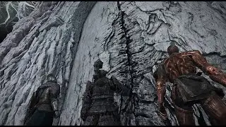 ELDEN RING NIGHTREIGN / Rider and team vs Libra