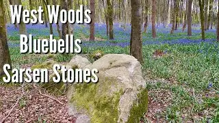 Bluebells and  Sarsens - West Woods - Source of the Giant Sarsen Stones of Stonehenge (DVHDR)