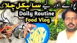 Nb family vlog || foodvloggers #nbfamilyvlogs #pakistanivlogs #foodvlogs #dailyroutine #plantvlog 