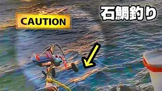 【晩秋石鯛】スーパーで買った北海道産の めっちゃ安い巻き貝を石鯛釣りに持っていったら、けっこう使える餌だった。