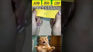only genius people see the correct answer #cat #memes #bombastic #trending #usa #reaction