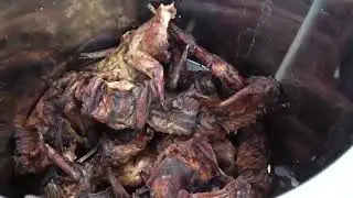 Baradzanwa Cultural Village Mazowe